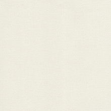 Natural Cameo Roller Shades Mini
