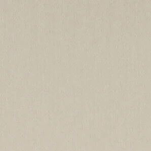Taupe Cameo light filtering fabric sample