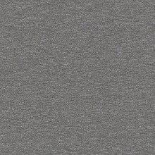 Earl Grey Leyton Roller Shades Mini