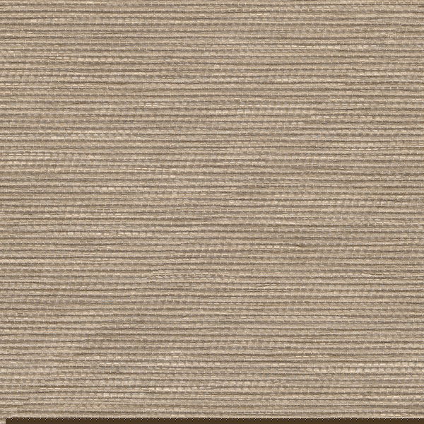 Toiles de fenêtre Palma Natural Filtrant La Lumière - Terre