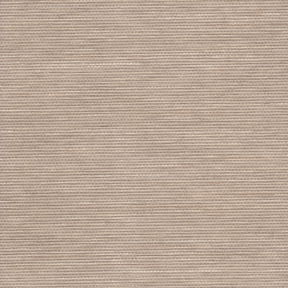 Earth Palma Roller Shades