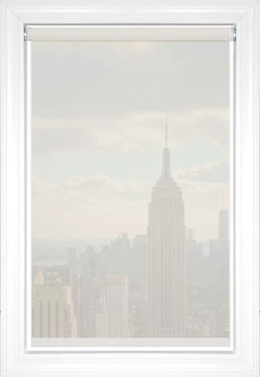Coconut Tokyo - 10 Percent Solar Shades