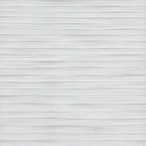 Silver Birch Bamboo Roller Shades Silver Birch Bamboo Roller Shades