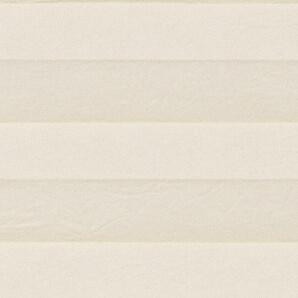 Simply light filtering cellular shade sample