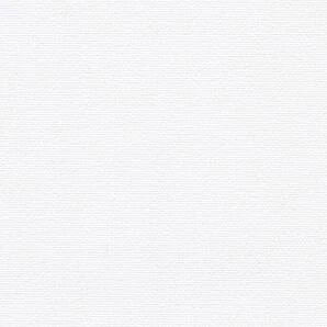 White Cameo light filtering fabric sample