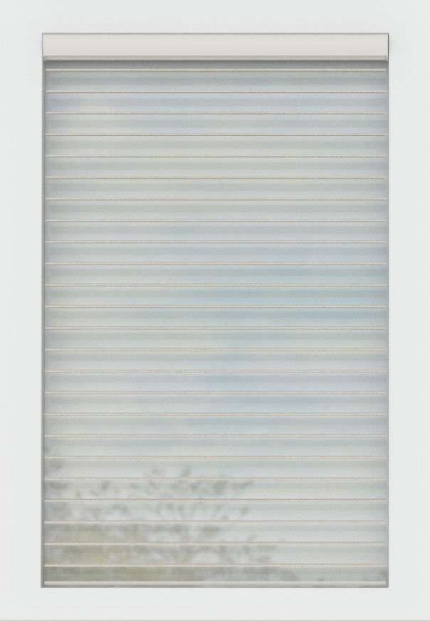 Vellum Serenity 2" Slats Light Filtering (2" Slat) Serenity Shades