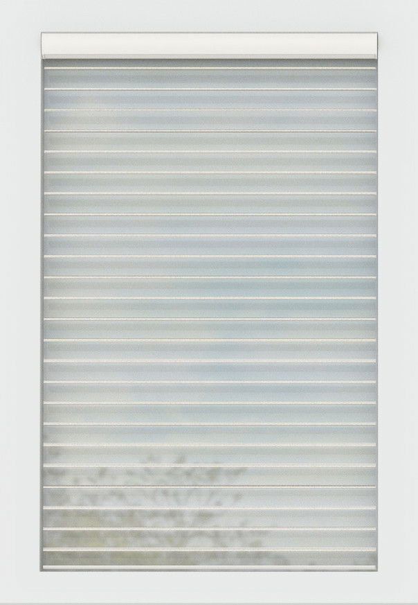 White Dove Serenity 3" Slats Light Filtering (3" Slat) Serenity Shades