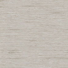 Oyster Mombassa Blackout Roller Shades Mini