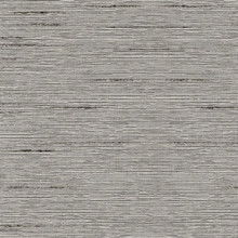 Ash Mombassa Blackout Roller Shades Mini