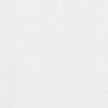 Snow Mombassa Roller Shades Mini