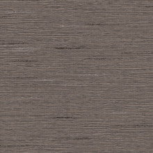 Cendre Mombassa Toiles de fenêtre Mini