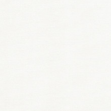 White Cameo Roller Shades Mini