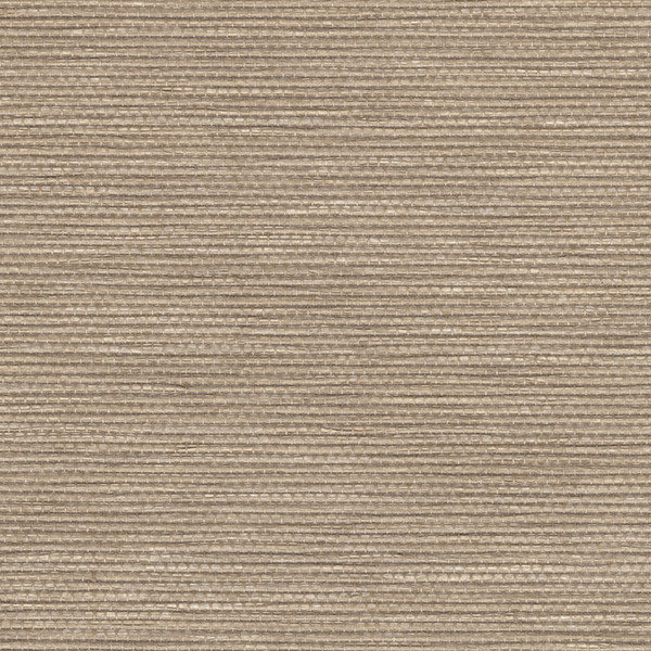 Earth Palma Natural Light Filtering Roller Shades