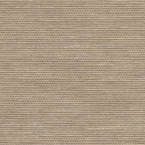 Earth Palma Roller Shades