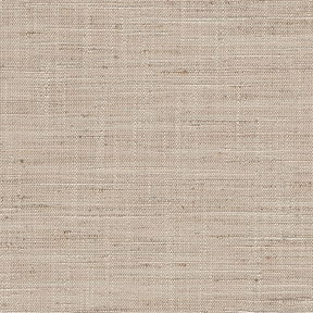 Bambou Gemma Stores romains