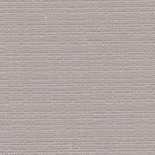 Dove Grey Amazon Roller Shades Mini