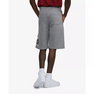 Men's Big and Tall Flex It Fleece Shorts