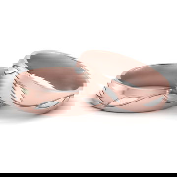 Same Sex Two Tone Wedding Bands