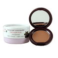 100% Pure Fruit Pigmented Long Lasting Concealer