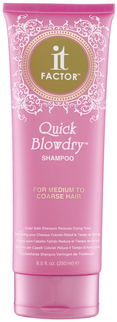 It Factor Quick Blowdry Shampoo - For Medium To Coarse Hair
