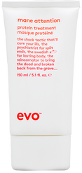 Evo Mane Attention Protein Treatment
