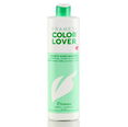 Framesi Color Lover Smooth Shine Shampoo