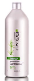 Matrix Biolage Advanced Fiberstrong Shampoo