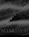 CHI by Farouk Ionic Permanent Shine Hair Color Dye Haircolor, Ammonia Free, PPD Free