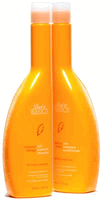 Back to Basics Coconut Mango Rich Moisture Shampoo