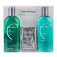 Malibu C Scalp Wellness Treatment