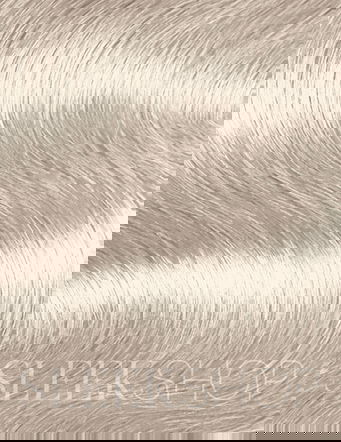 09V (9V) Platinum Ice, Redken Shades EQ Demi-Permanent