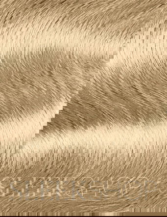 Alfaparf Milano Evolution of the Hair Color Dye Haircolor Cube