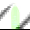 Back to Basics Fresh Mint Energizing Shampoo