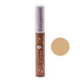 100% Pure Fruit Pigmented Brightening Concealer