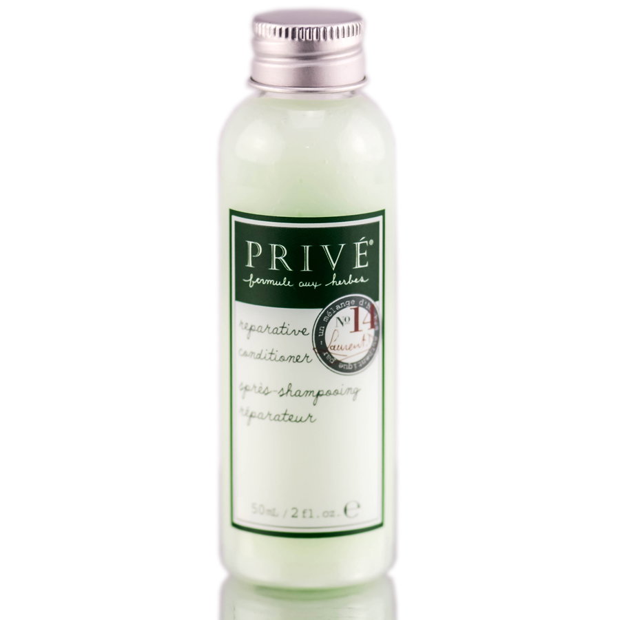 22203-2-oz-travel-size - Prive Damage Fix Conditioner-image1