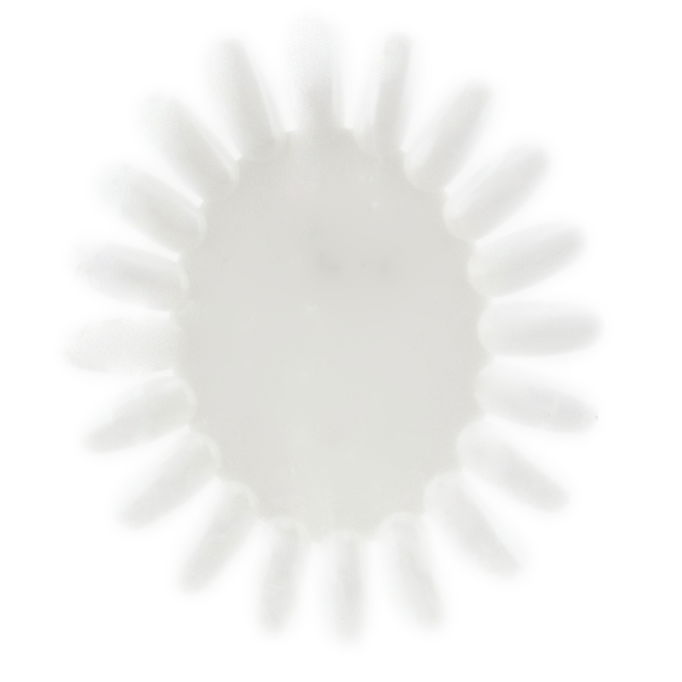 Ionica Blank Nail Palette - 20 Wheel Tips