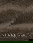 Alfaparf Milano Color Wear Evolution Tone on Tone Hair Color, Colorwear  (2.05 oz)Demi-Permanent Haircolor Dye