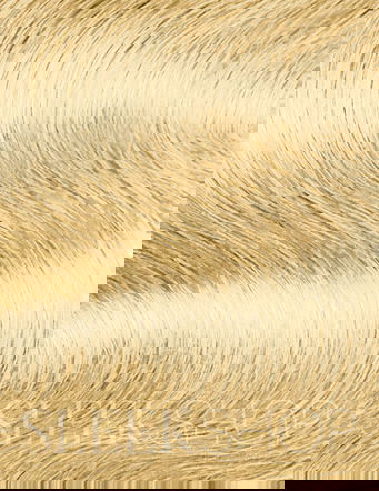 Wella Color Charm LIQUID Permanent Hair color, 100% Gray Coverage Wella Color Charm LIQUID Permanent Hair color, 100% Gray Coverage