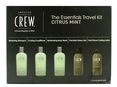 American Crew The Essentials Travel Kit American Crew The Essentials Travel Kit