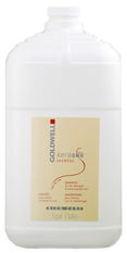 Goldwell Kerasilk - Rich Care Shampoo