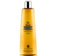 Graham Webb Silk Repair - Advanced Therapy Shampoo (Super Silk Shampoo)