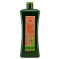 Salerm Biokera Natura For Treated Hair Shampoo