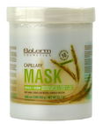 Salerm Mascarilla Wheat Germ Capillary Mask for dry hair