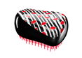 Tangle Teezer Compact Styler Detangling Hairbrush - Collectables