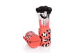 BH Cosmetics 12 Pc Wild Brush Set