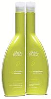 Back to Basics Green Tea Normalizing Conditioner
