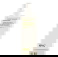 Evo Mister Fantastic Texture Spray