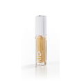Kelly Teegarden Organics Lip Gloss