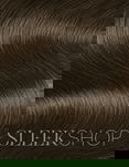 Goldwell Topchic Professional Hair Color (2.1 oz. tube)
