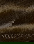 Goldwell Topchic Professional Hair Color (2.1 oz. tube)